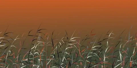 Reedy Stock Illustration