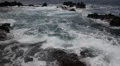 Reef 4754 HD Footage