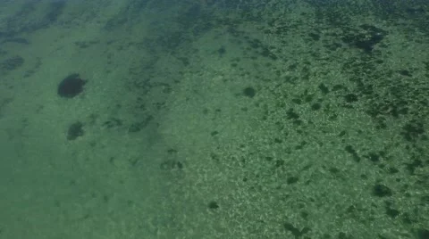 REEF FROM AVBOVE Stock-Footage 53613250