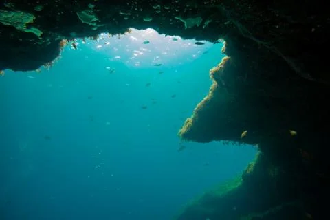 Reef in backlight Stock Photos