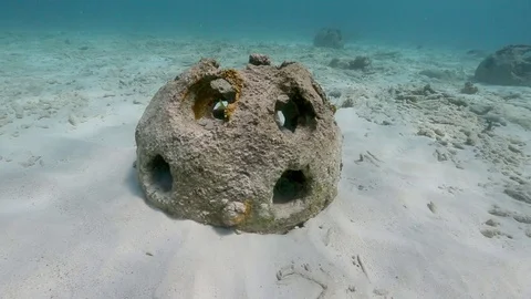 Reef balls artificial reef on Caribbean island coral reef Stock Footage 73768780