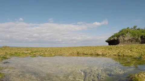 Reef beach with green algae at low tide. Okinawa. Stockbeeldmateriaal 85280193