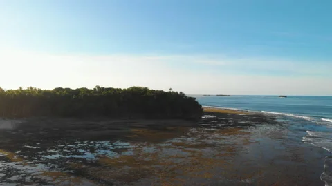 Reef break point at sunset in low tide 库存影片 131264289