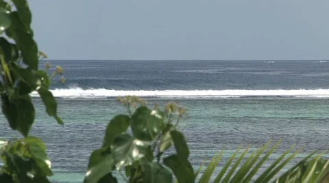 Reef breaks Video stock 41412522