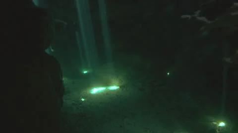 Reef Caves 05 Stock Footage 10715143