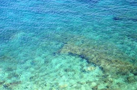 Reef in the clear water Stock Photos