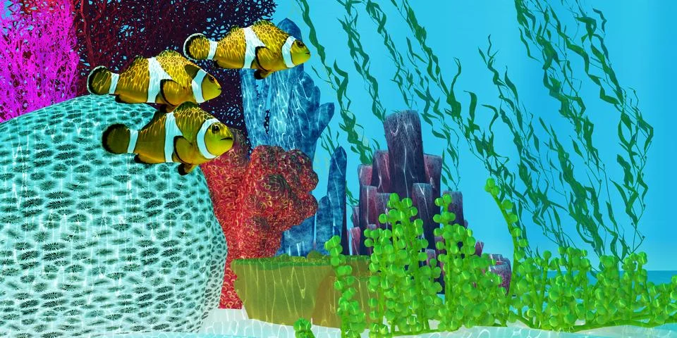 Reef Clownfish Stock Illustration
