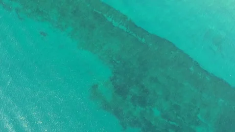 Reef Stock Footage 84226961