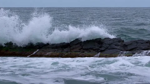 Reef Stock Footage 155441974