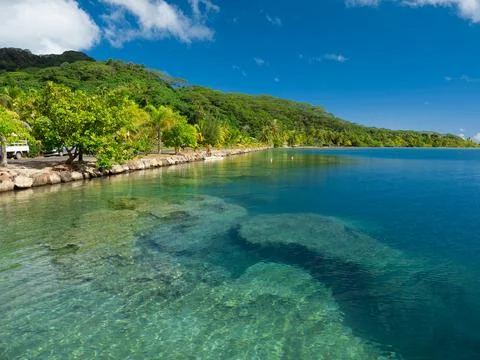 Reef in French Polynesia Stock Photos