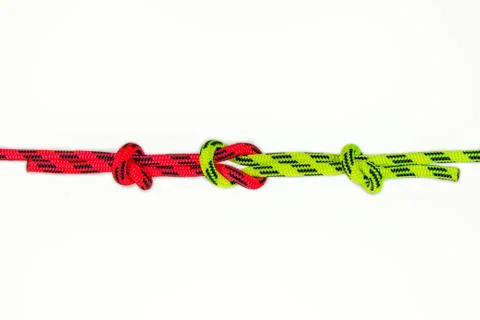 Reef, Hercules, square, double or brother hood Binding knot binding two color Foto stock