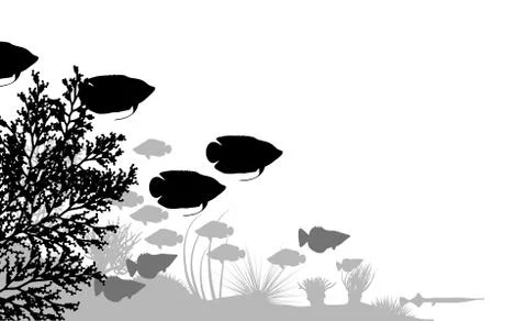 Reef Stock-Illustration