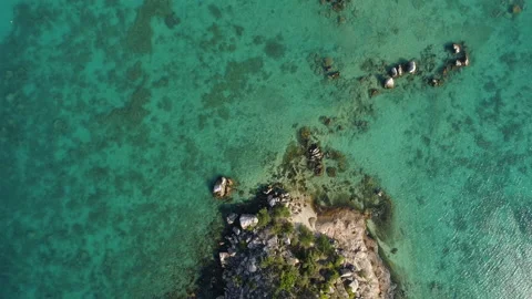 Reef Lizard Island Australia Stock Footage 135067656