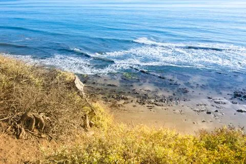 Reef at low tide Stock Photos