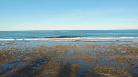 Reef in low tide at sunset with palm tree shadows 库存影片 131299612