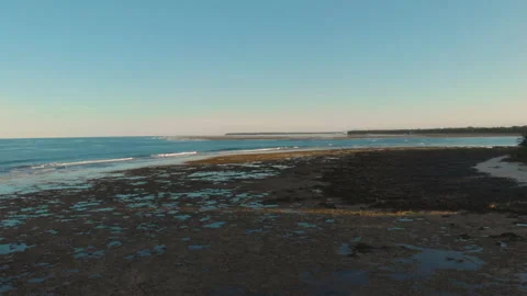 Reef in low tide at sunset with palm tree shadows 库存影片 131324879