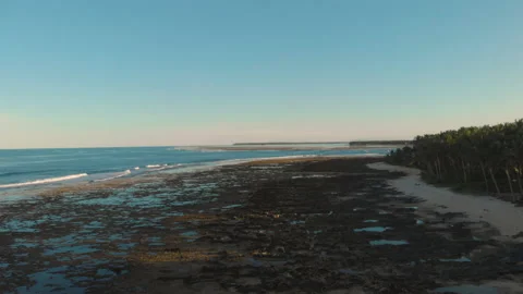 Reef in low tide at sunset with palm tree shadows 库存影片 131324926