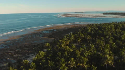 Reef in low tide at sunset with palm tree shadows 库存影片 131325931