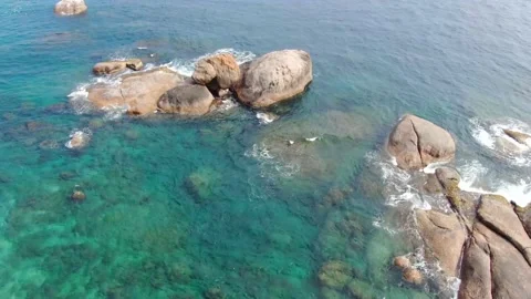 Reef in the ocean Stock Footage 137598823