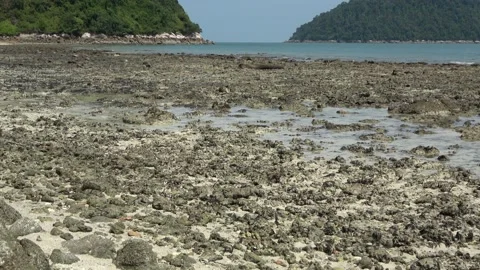 Reef platform, Malaysia Video stock 206582114