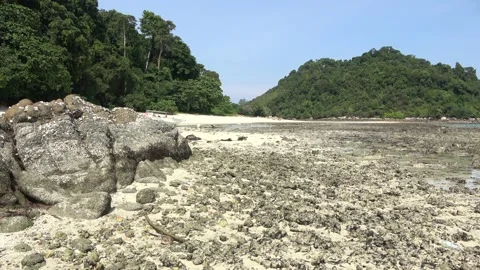 Reef platform, Malaysia Stock Footage 206582789