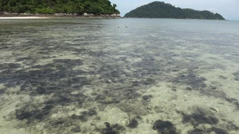 Reef platform, Malaysia Stock Footage 206585587