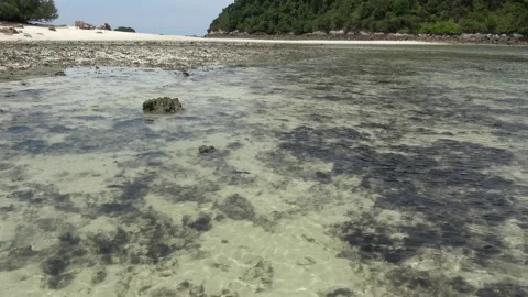 Reef platform, Malaysia Video stock 206586297