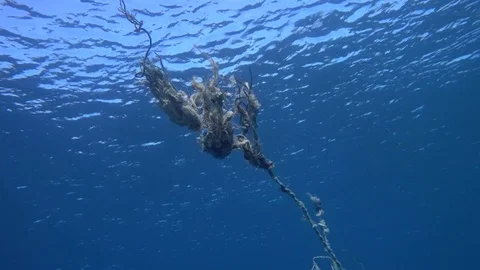 Reef with rope trash caught Video stock 70715162