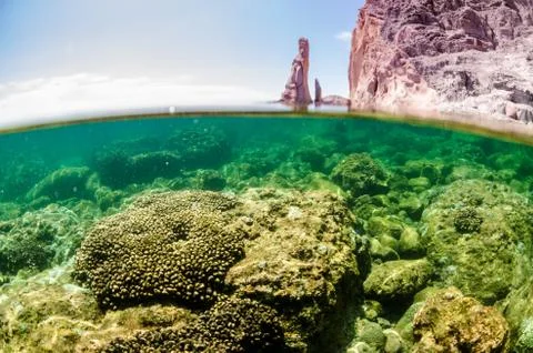Reef scenics Stock Photos