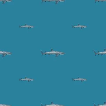 Reef shark seamless pattern in scandinavian style. Marine animals background. Stock Illustration