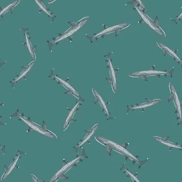 Reef shark seamless pattern in scandinavian style. Marine animals background. Stock Illustration