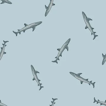 Reef shark seamless pattern in scandinavian style. Marine animals background. Stock Illustration
