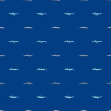 Reef shark seamless pattern in scandinavian style. Marine animals background. 스톡 일러스트