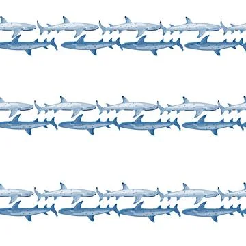 Reef shark seamless pattern in scandinavian style. Marine animals background. Stock Illustration