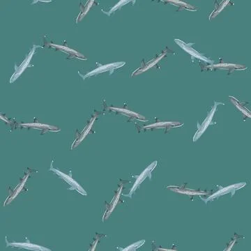 Reef shark seamless pattern in scandinavian style. Marine animals background. Stock Illustration