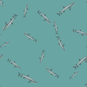 Reef shark seamless pattern in scandinavian style. Marine animals background. Stock Illustration