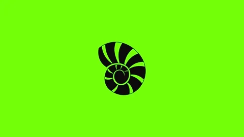 Reef shell icon animation Stock Footage 157503954