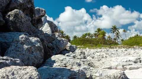 Reef shore cloudy timelapse with palms Stock Footage 51077370