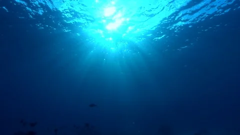 Reef to surface shot, highlighted by sunrays Stock Footage 92937966