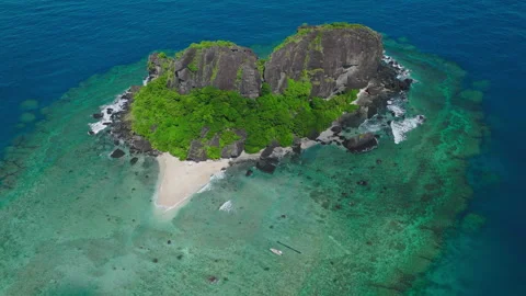 Reef-Surrounded Island With Trees and Turquoise Water Stock Footage 313261246