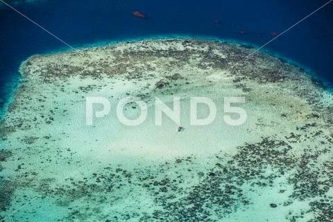 Reef Off Tropical Tahiti Islands of French Polynesia Stock Photos