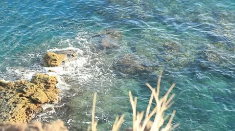 Reef001 Stock Footage 10728285