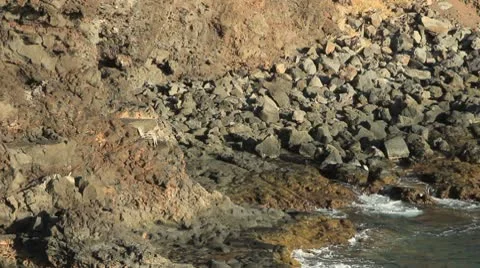 Reef002 Stock Footage 10728286