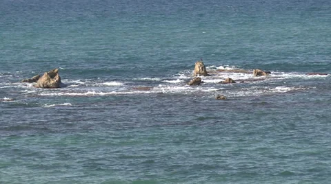 Reefs Stock Footage 34949800