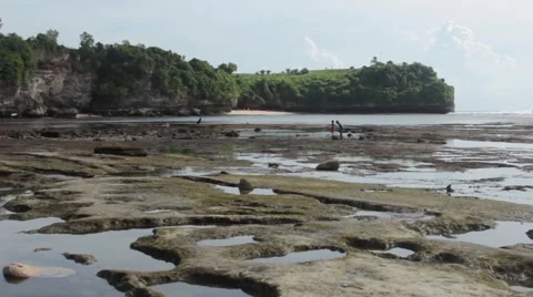 Reefs at Low Tide Stock Footage 67531383
