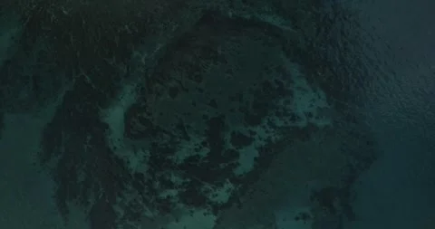 Reefs of the Sea of Cortez Stock Footage 302877100