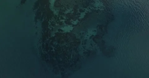 Reefs of the Sea of Cortez Stock Footage 302877161