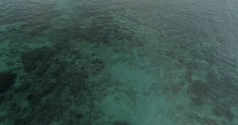 Reefs of the Sea of Cortez Stock Footage 302877414