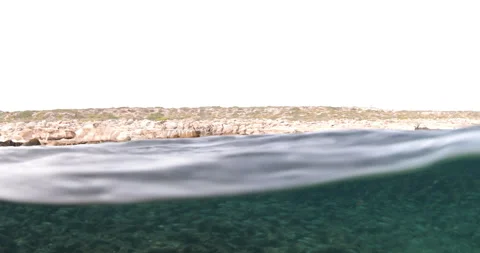 Reefs of the Sea of Cortez Stock Footage 302902309