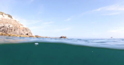 Reefs of the Sea of Cortez Stock Footage 302909979